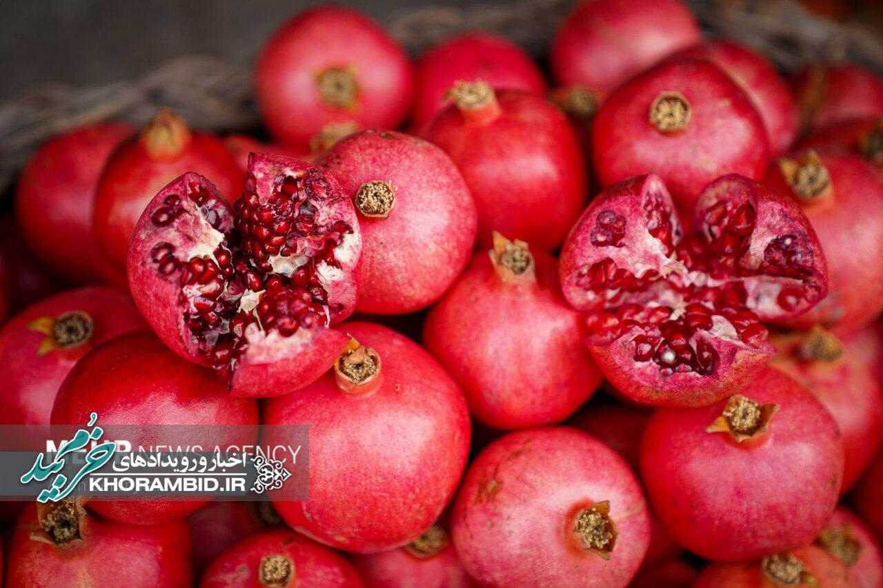 دومین جشنواره ملی انار ایج و رودبال فارس برگزار میشود